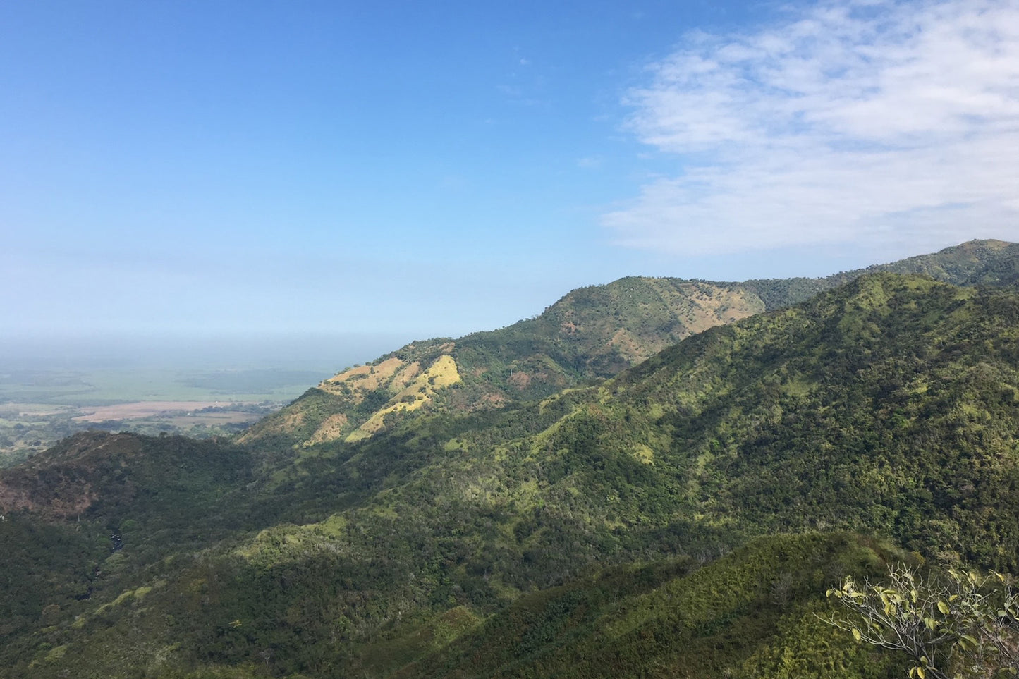 Organic Colombia Sierra Nevada