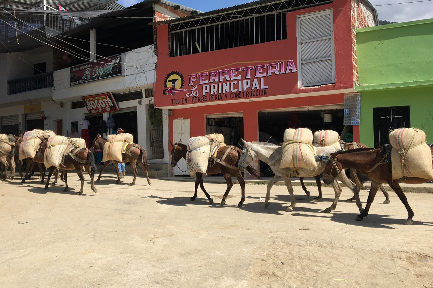 Organic Colombia Sierra Nevada