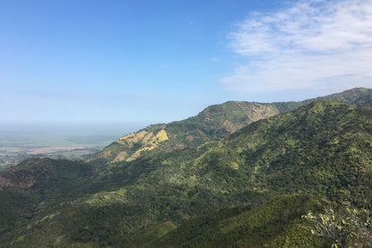 Organic Colombia Sierra Nevada