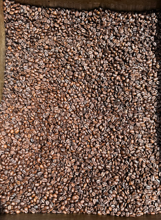 Organic Honduras COMSA