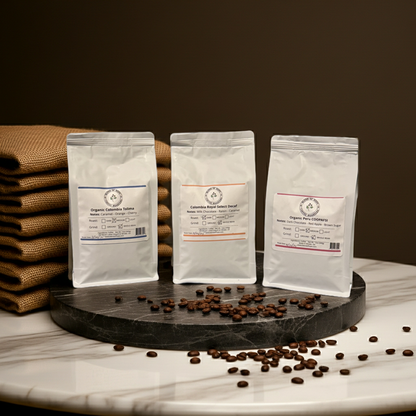 Conversation Starter Bundle